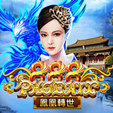 RTP joker solidplay99